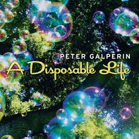 A Disposable Life by Peter Galperin