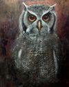 'Count Owl' Original Oil Painting