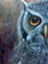 'Count Owl' Original Oil Painting
