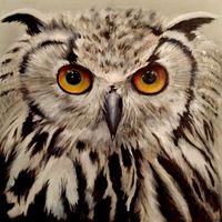 'Sage' Owl Giclee print 