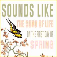 Sounds Like the Song of Life on the First Day of Spring by Chris Coole