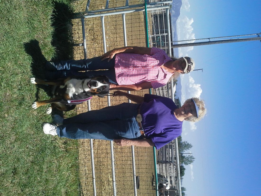 Helena Montana Kennel Club Promoting responsible dog ownership through