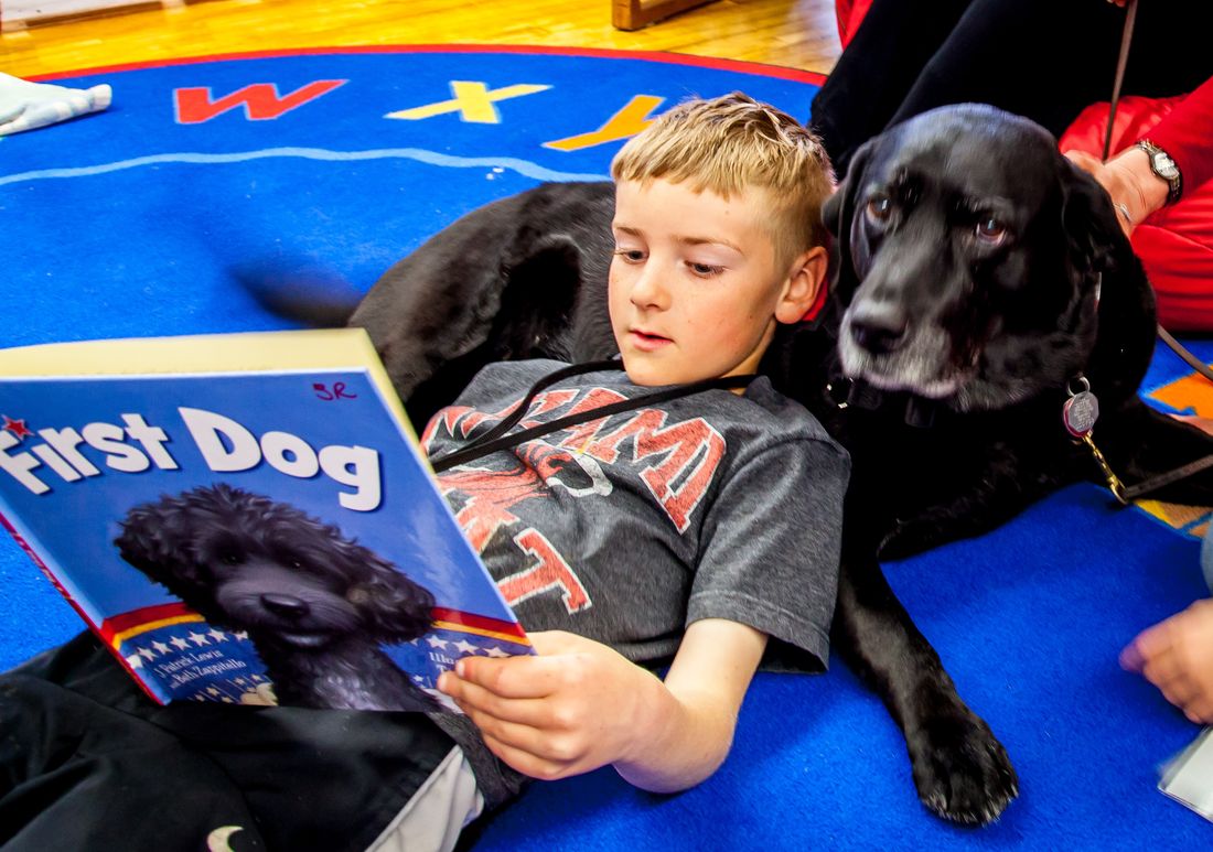 Charming Chloe of Snowco, CGC, THD, THDA, THDX, THDDbeing read to in the Reading Education Assistance Dogs (R.E.A.D.) program
