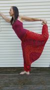 Tapestry Indian Cotton Yoga pants (Red)