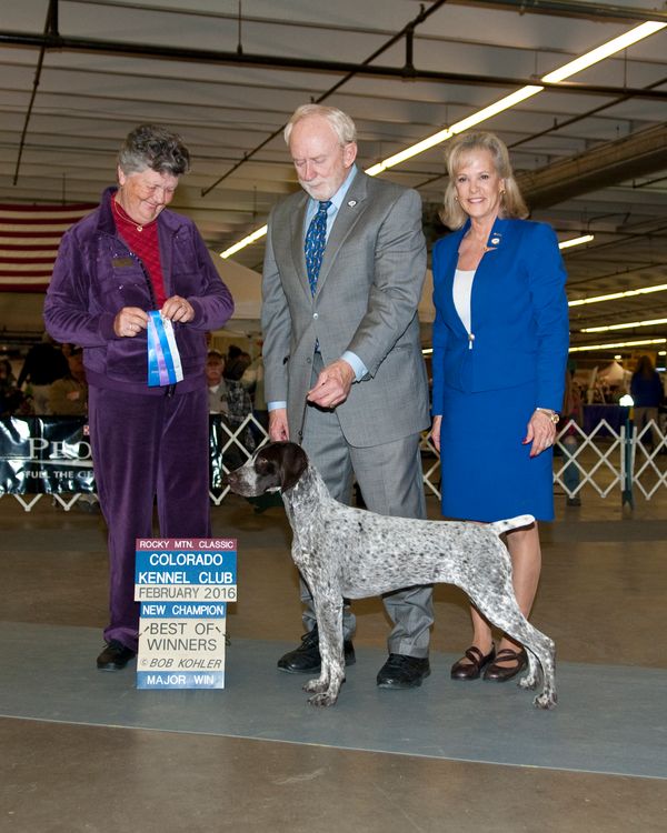 "Ethel"

CH SilverLakes There's No Business
 Like Show Business

Ms. Karin Ashe
New Champion Colorado Kennel Club