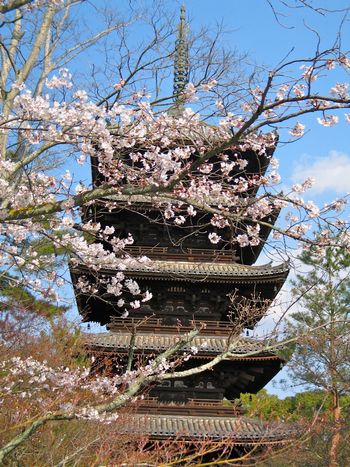 Pagoda at Nonna-Ji
