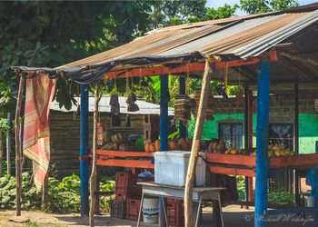 Highway Fruit Stand
