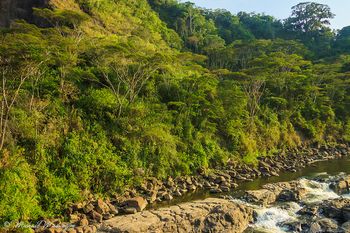 Banks of The Rio In Vado Real
