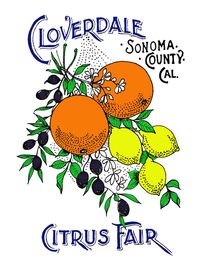 Cloverdale Citrus Fair