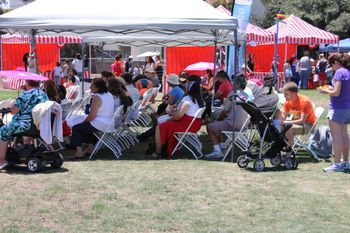 AUDIENCE chillin in the shade
