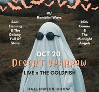 Desert Sparrow live at The Goldfish