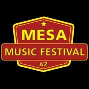 Rhythm Rampage Live Performance at Mesa Music Festival