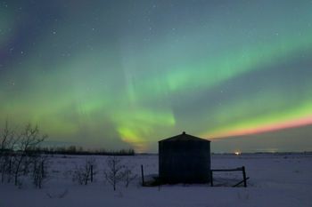 Dancing Aurora
