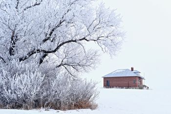 Frosty One Room Country School
