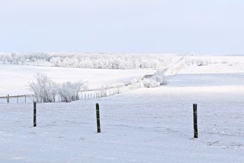 Frosty Countryside
