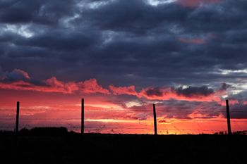 Prairie Sunset Bliss
