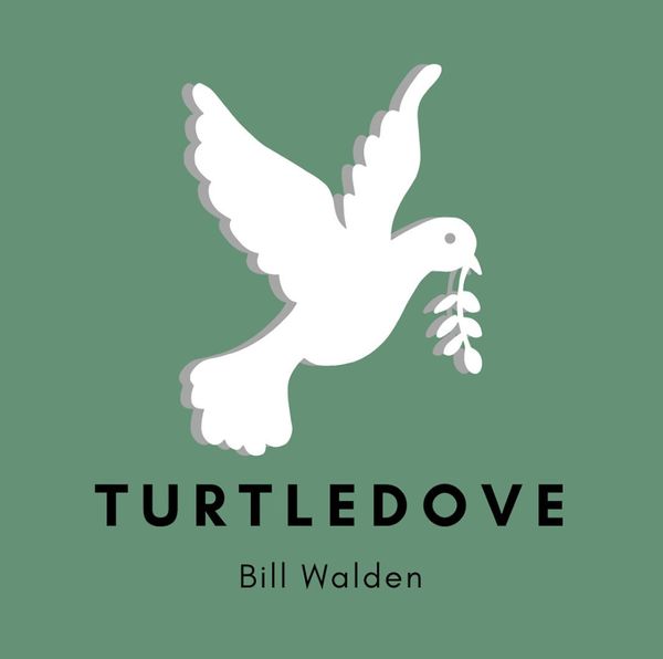 Turtledove
Released 2022
Listen On Spotify