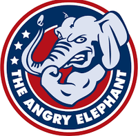 Angry Elephant