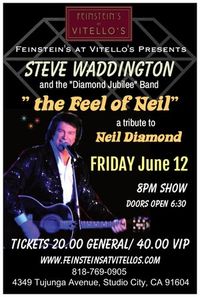 Steve Waddington "The FEEL of NEIL" Neil Diamond Tribute Show