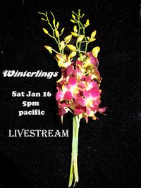 Saturday Songs Livestream with The Winterlings