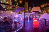 Adolphus Hotel-Dallas- Rooftop Winter Wonderland Event