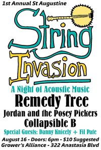 String Invasion | A Night of Acoustic Music 