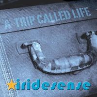 A Trip Called Life by Iridesense