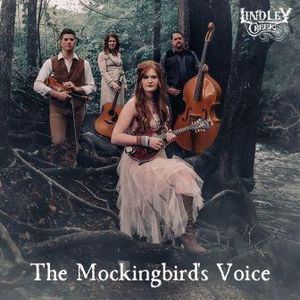 Download or Save
"The Mockingbird's Voice"