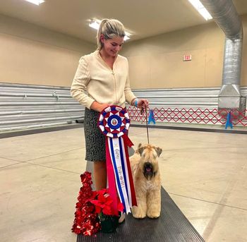 Meilleur de l'Exposition et Meilleur Chiot de l'Exposition /Best in Show and Best Puppy in Show
