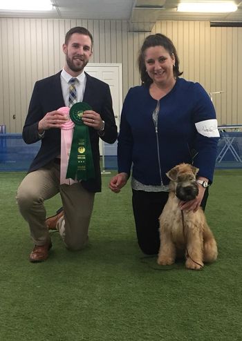 Meilleur de l'Exposition, Meilleur Chiot de l'Exposition Sanction Match/Best in Show, Best Puppy in Show Fun Match
