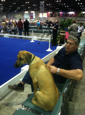 Watching Best of Breed at Eukanuba
