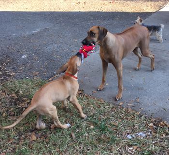 playing with Mom
