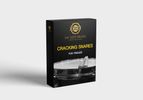 "Cracking Snares" Drum Sample Pack For Trigger with 24bit Wav Files