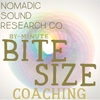 The Bite-Size Coach
