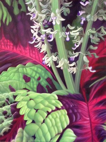 Magnificent Coleus, oil on linen 36x48
