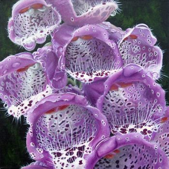 Foxglove After Rain, oil on canvas, 20"x20"
