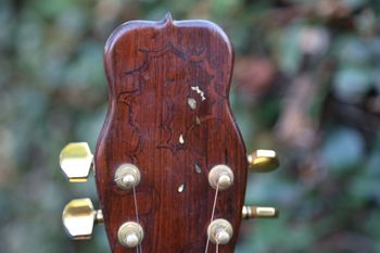 The Crying Seahorse Dulcimer, late 1970's detail of peghead
