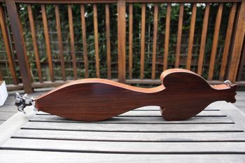 Prince Dulcimer Indian Rosewood back
