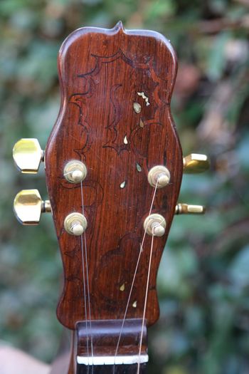 The Crying Seahorse Dulcimer, late 1970's peghead
