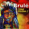 Tribal Rhythm 2: CD