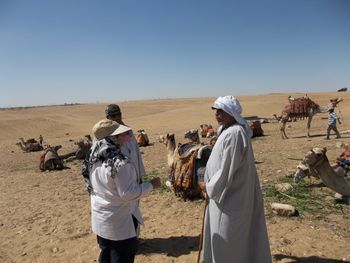 Camel riding market
