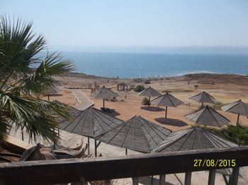 The Dead Sea
