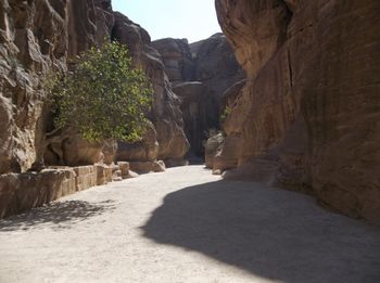 Road to Petra
