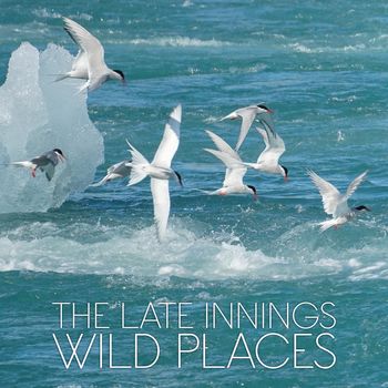 Wild Places Album Cover
