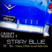 StrayBlue by Christina Gaudet