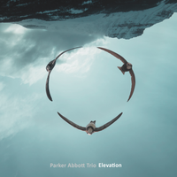 Elevation CD release tour with Parker Abbott Trio