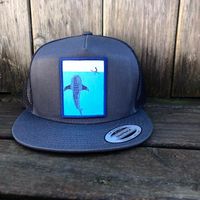 Jonas Draws Whale Shark Hat