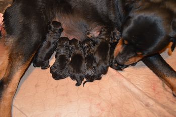 Hours Old
