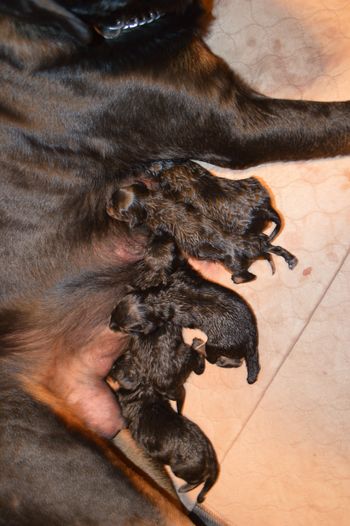 Hours Old
