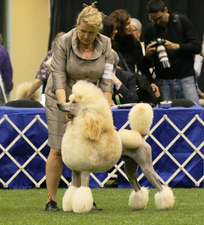 Michele and Brees at PCA
